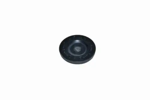 ПРОБКА ГБЦ 504348650 IVECO