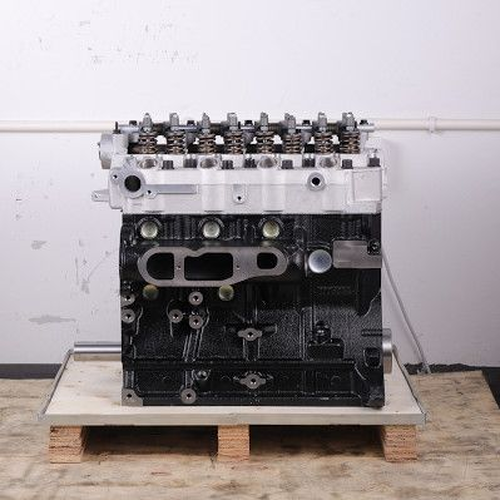 Двигатель (ДВС) в сборе NPS H802I06