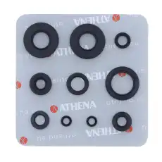 Engine gaskets set P400485400198 ATHENA
