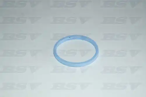 Прокладка коллектора BSSV AR892
