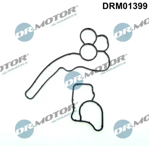 Комплект прокладок двигателя DR. MOTOR DRM01399