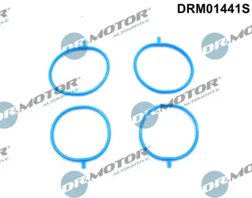Прокладка коллектора DR. MOTOR DRM01441S