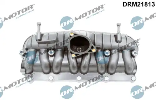 Модуль впускной трубы DRM21813 DR. MOTOR