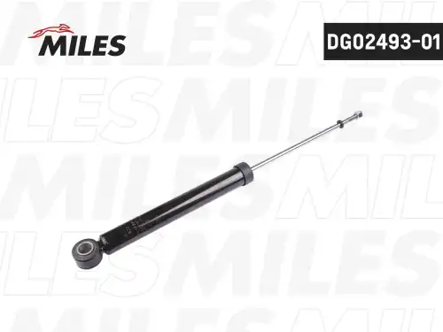 Амортизатор DG02493-01 MILES