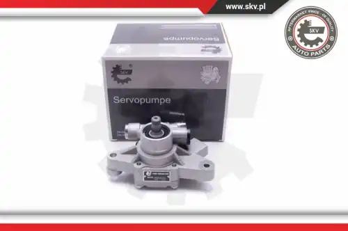 Деталь 10SKV313 SKV