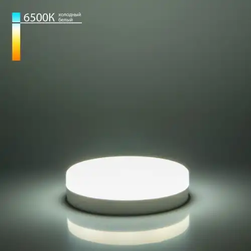 ELEKTROSTANDARD A049829