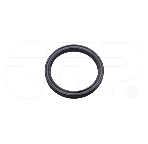 Сальник 3D2895-CTP CTP