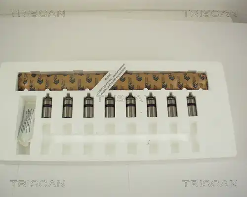 Распредвал TRISCAN 80-CK2185