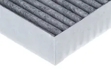 Салонный фильтр RAF FILTER RSTC002SY
