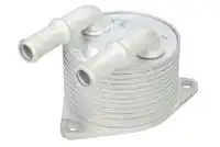 Масляный радиатор THERMOTEC D4C015TT