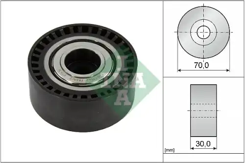 Pully FEAD 532092310 INA