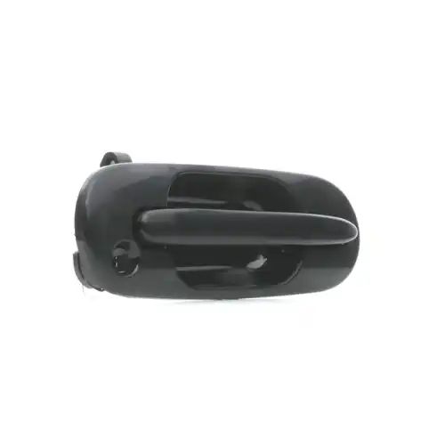 Ручка двери RIDEX 1373D0102