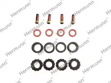 HRFP3313250KIT Ремк-т (на 4 форсунки) HERMANN