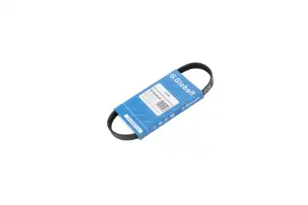 GLOBELT 6PJ508