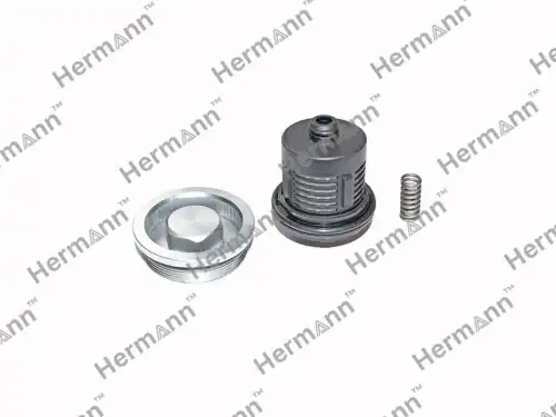 02D598574 Фильтр муфты Haldex HERMANN