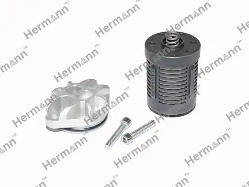 Фильтр муфты Haldex DS2002968 HERMANN