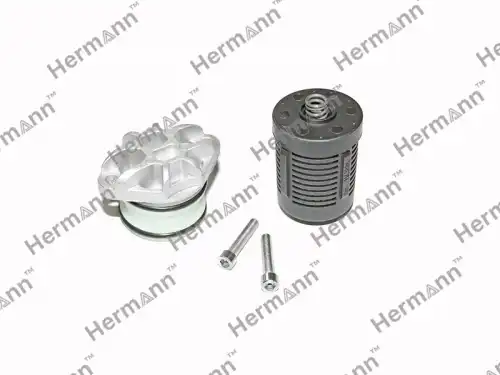DS2003085 Фильтр муфты Haldex HERMANN