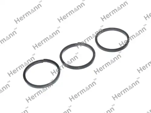 Кольца уплотн 3шт HR06F198107A HERMANN