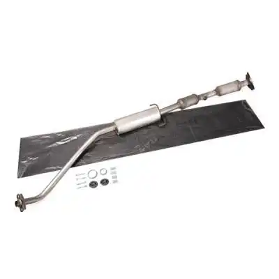 Катализатор 429C0238 RIDEX