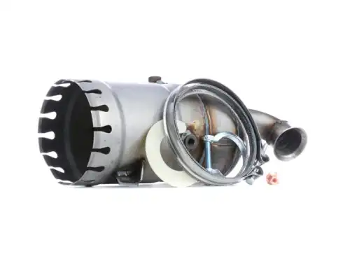 Катализатор 429C0297 RIDEX