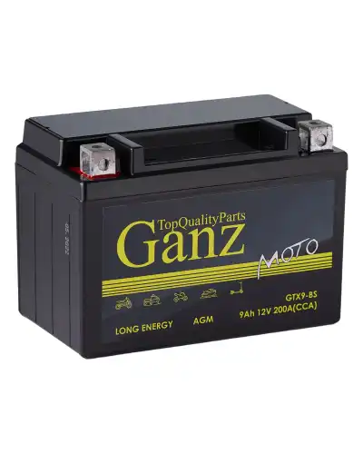 Аккумулятор GANZ GN1209