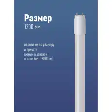 КОСМОС 1240229