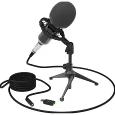 Микрофон Ritmix RDM-160 Black 1407676