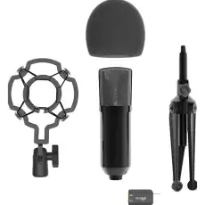 Микрофон Ritmix RDM-160 Black 1407676