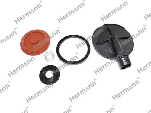HR038103469AAKIT Ремк-т КВКГ HERMANN