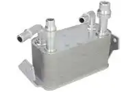 Масляный радиатор THERMOTEC D4I017TT