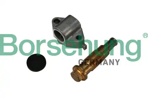 Натяжитель цепи B1T024 BORSEHUNG