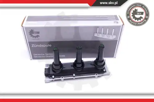 Катушка зажигания SKV 03SKV273