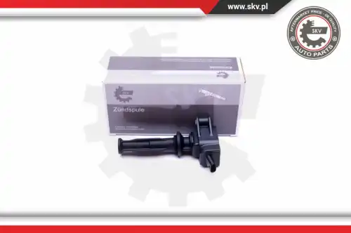 Катушка зажигания SKV 03SKV303
