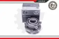 SKV 29SKV309