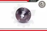 SKV 29SKV481