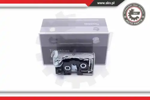 96SKV169 Деталь