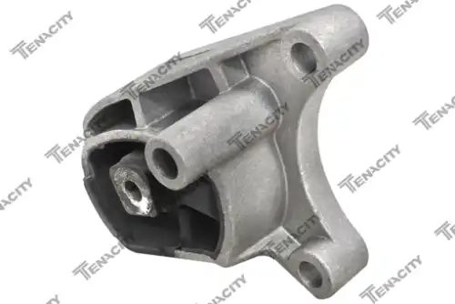 Подвеска, двигатель ! \FORD AWSFO1109 TENACITY