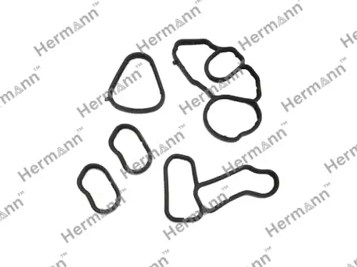 К-т прокладок HR11427625484 HERMANN