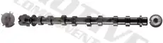 Camshaft T1048 MOTIVE