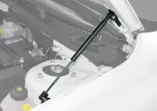 Амортизатор капота PNEUMATIC KU-LD-GR00-02