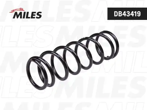 Пружина подвески DB43419 MILES