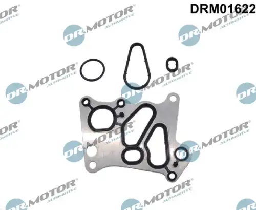 Комплект прокладок двигателя DR. MOTOR DRM01622