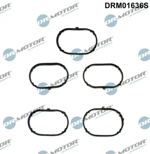 Прокладка коллектора DR. MOTOR DRM01636S