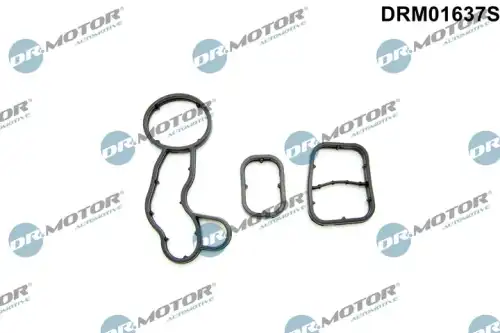 Комплект прокладок двигателя DR. MOTOR DRM01637S