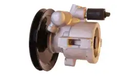 Насос гидроусилителя руля ELSTOCK 15-0103