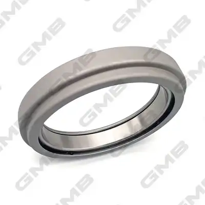 GMB GC13080