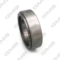 GMB GC21080