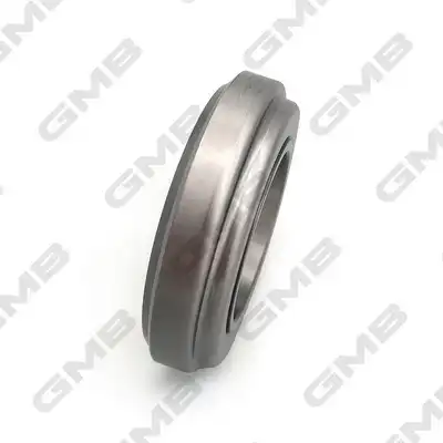 GMB GC22080