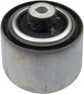 Рычаг подвески RAPRO R54910