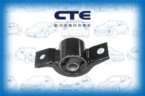 Рычаг подвески CTE CBH03062